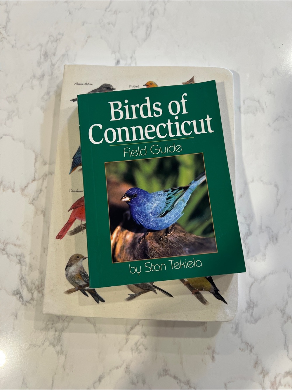 Birds of Connecticut Field Guide - Green Cover by Stan Tekiela